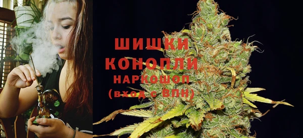 PSILOCYBIN Алзамай