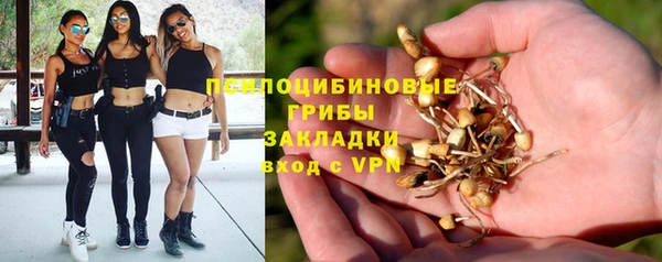кокаин Алексеевка
